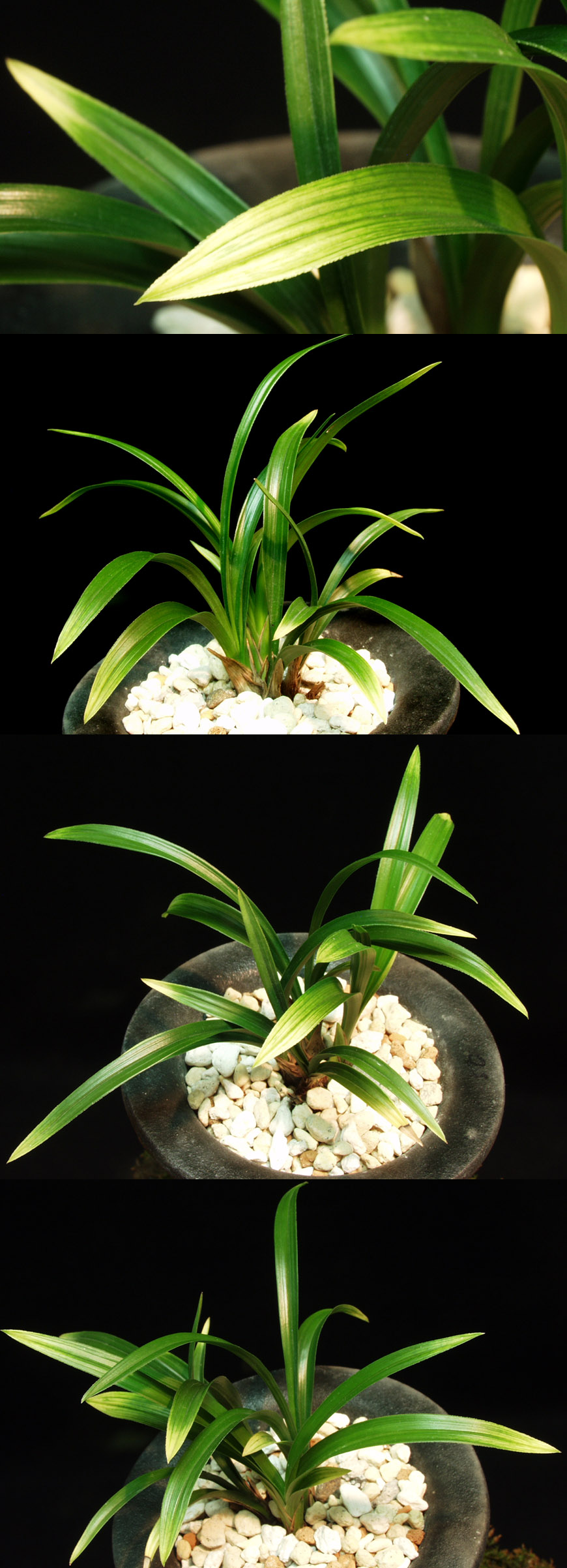 ������ ū������ �� �� �ֽ��ϴ�.