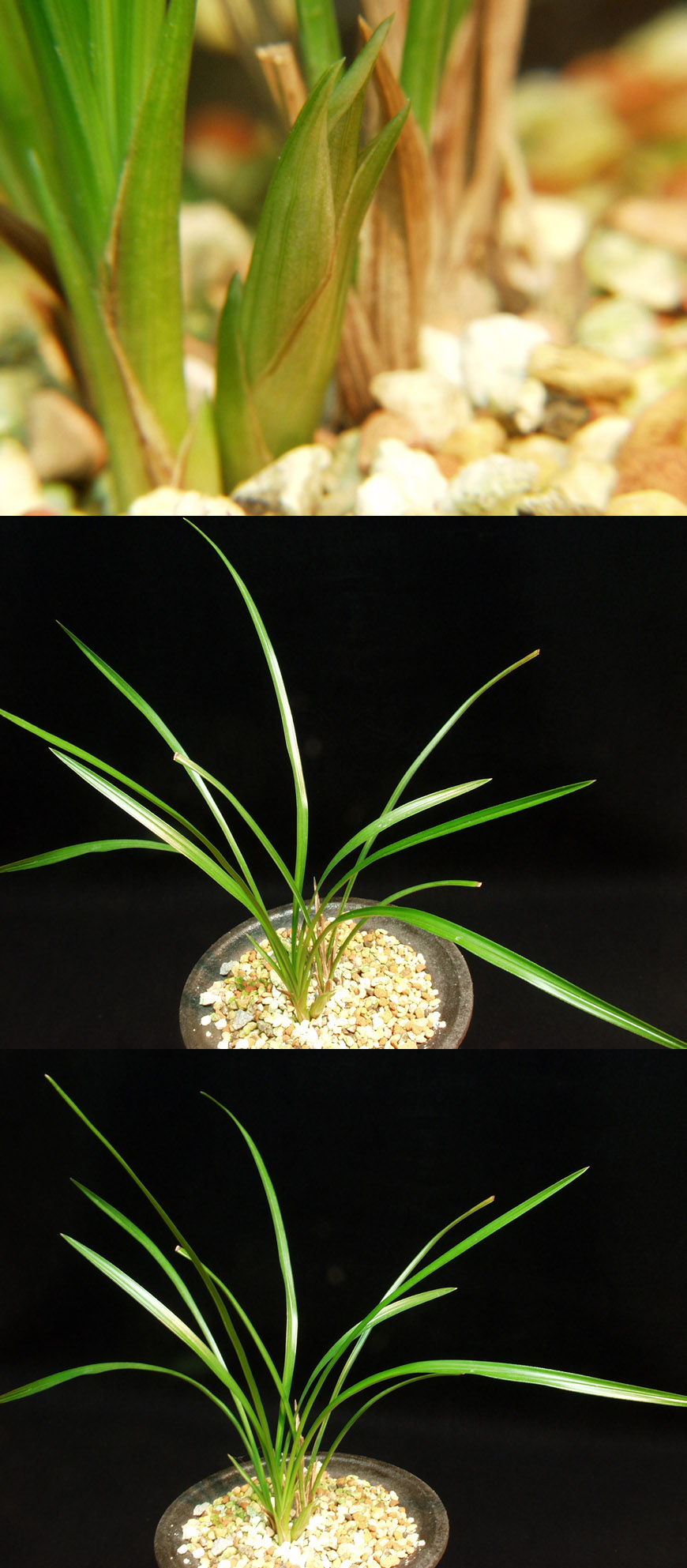 ������ ū������ �� �� �ֽ��ϴ�.