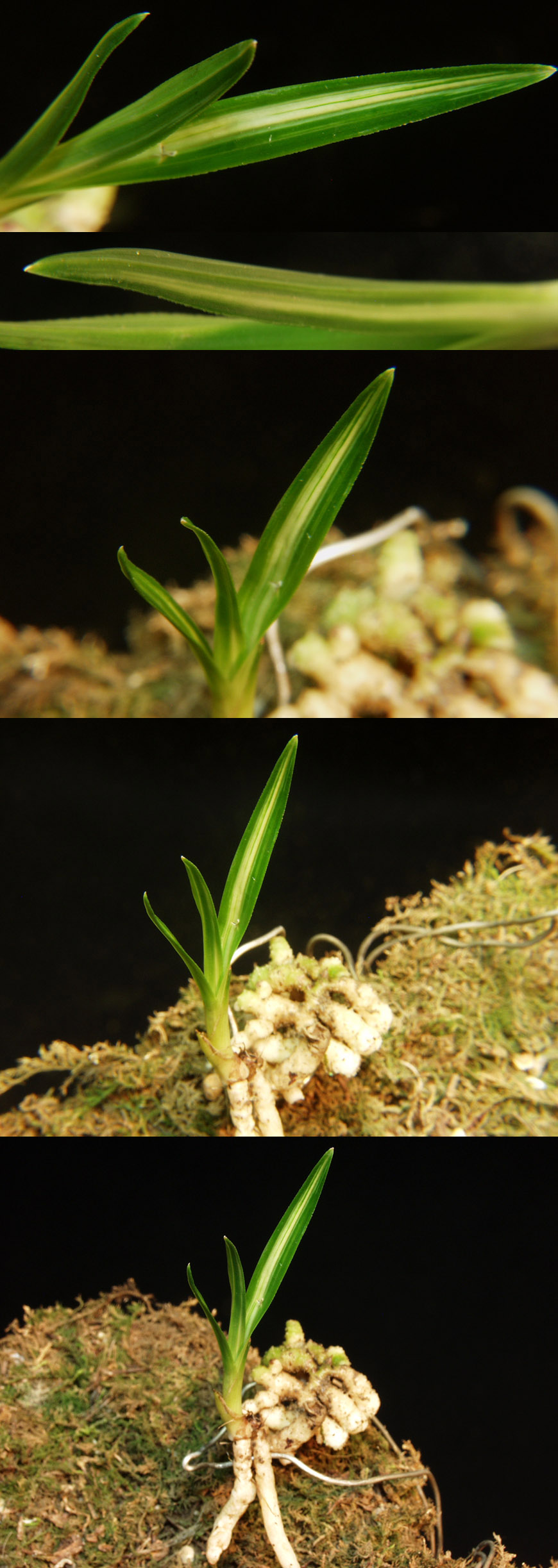 ������ ū������ �� �� �ֽ��ϴ�.