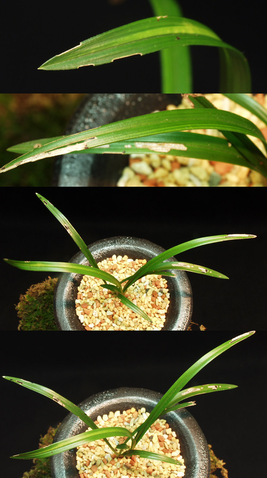 ������ ū������ �� �� �ֽ��ϴ�.