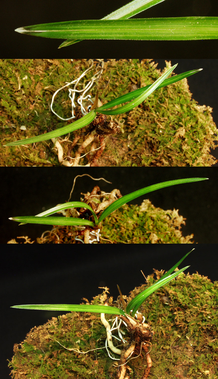 ������ ū������ �� �� �ֽ��ϴ�.