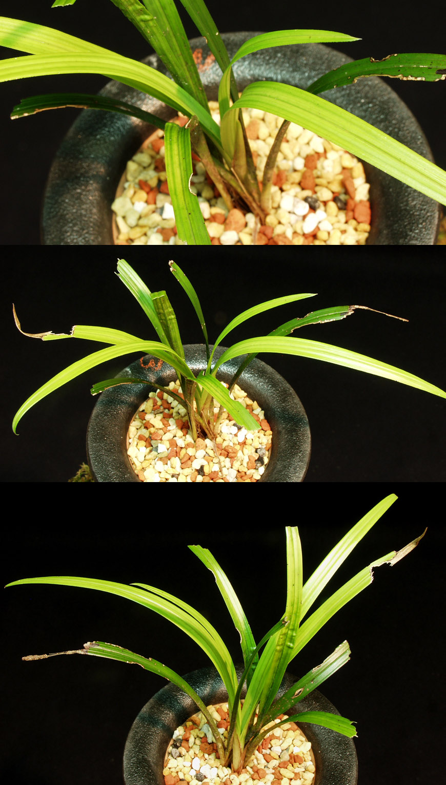 ������ ū������ �� �� �ֽ��ϴ�.