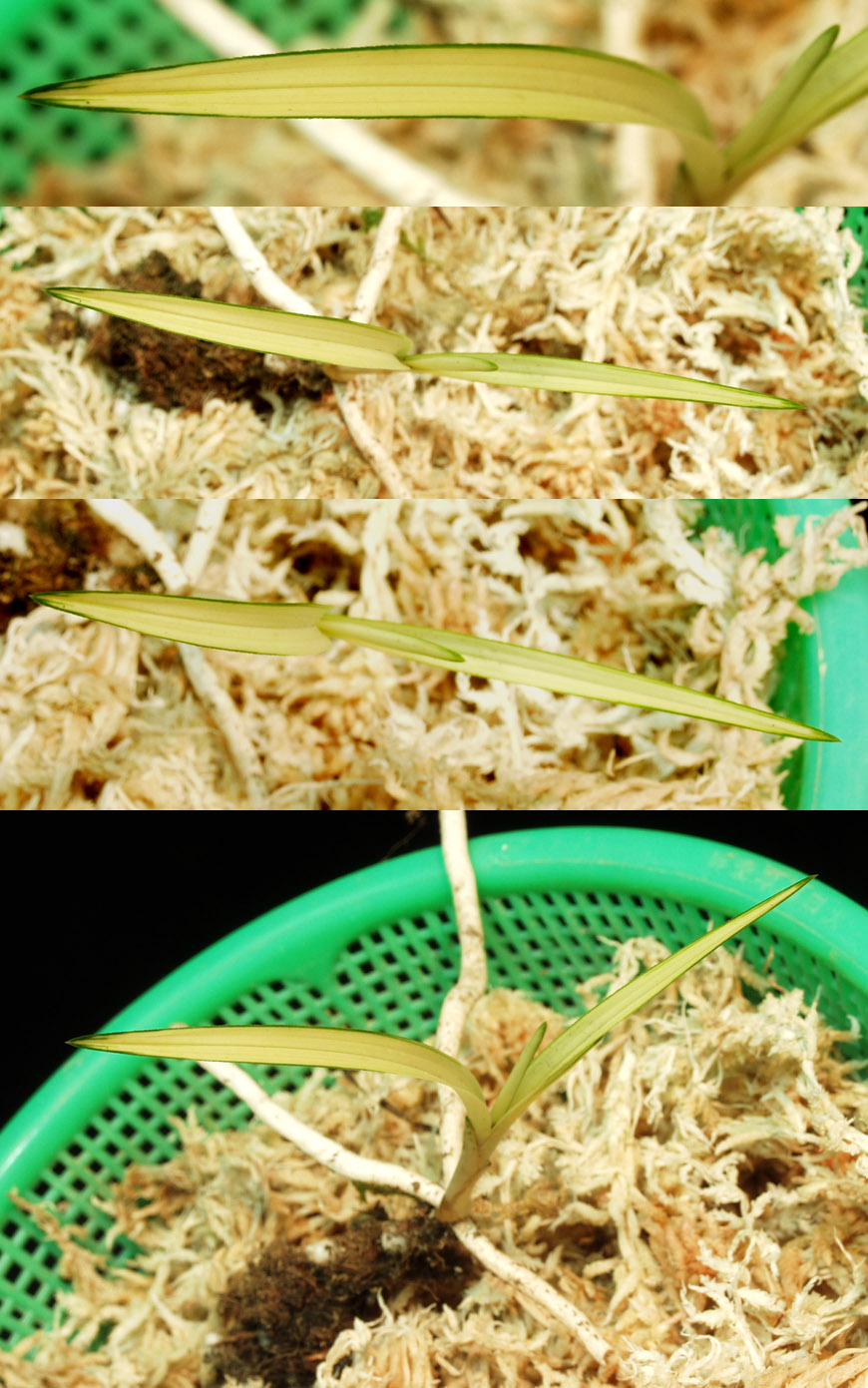 ������ ū������ �� �� �ֽ��ϴ�.