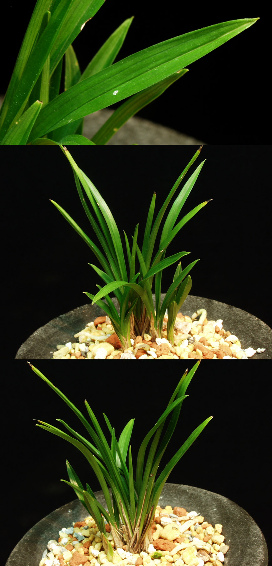 ������ ū������ �� �� �ֽ��ϴ�.