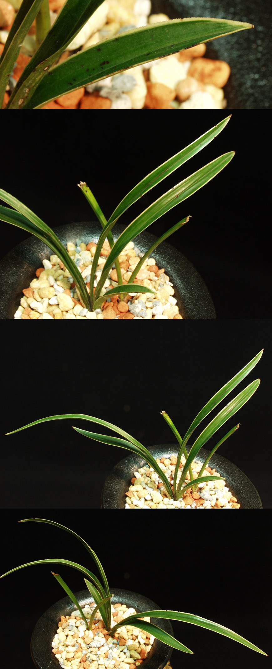 ������ ū������ �� �� �ֽ��ϴ�.