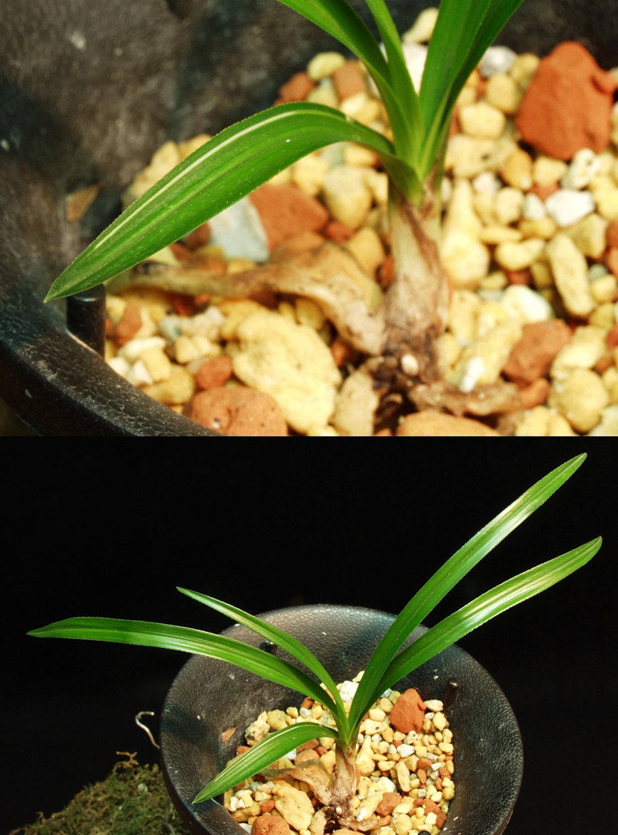 ������ ū������ �� �� �ֽ��ϴ�.