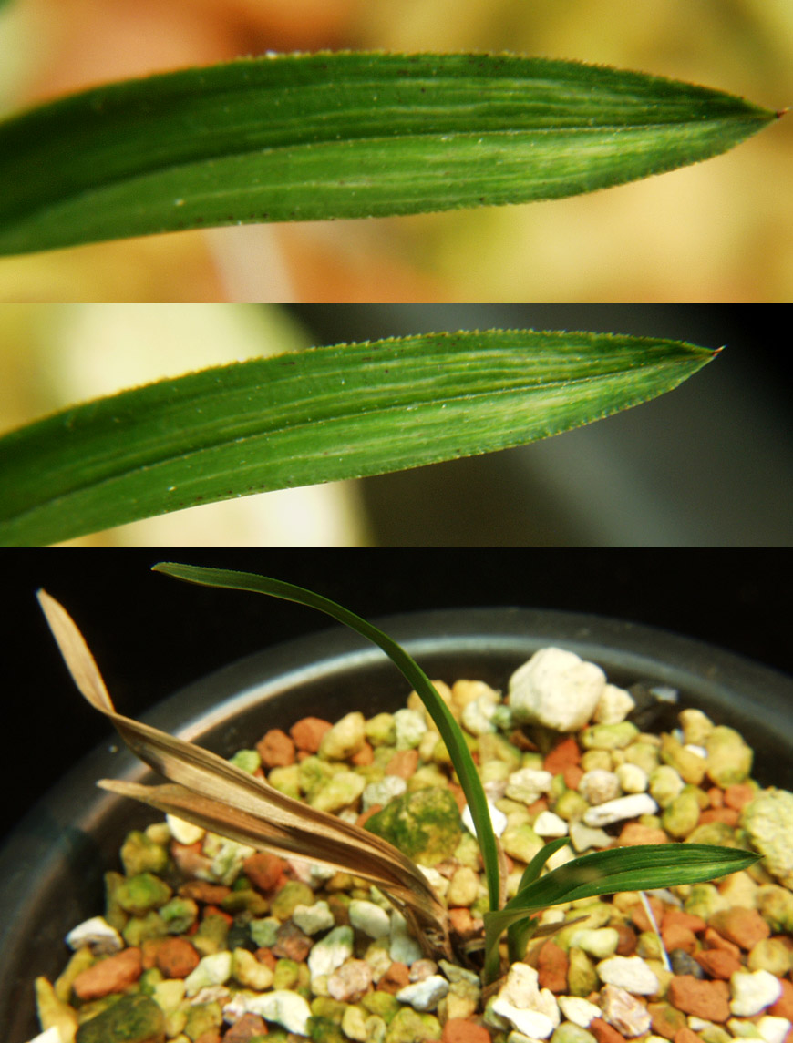 ������ ū������ �� �� �ֽ��ϴ�.