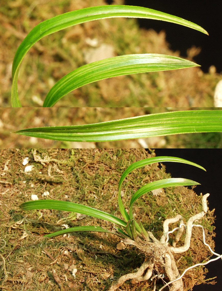 ������ ū������ �� �� �ֽ��ϴ�.