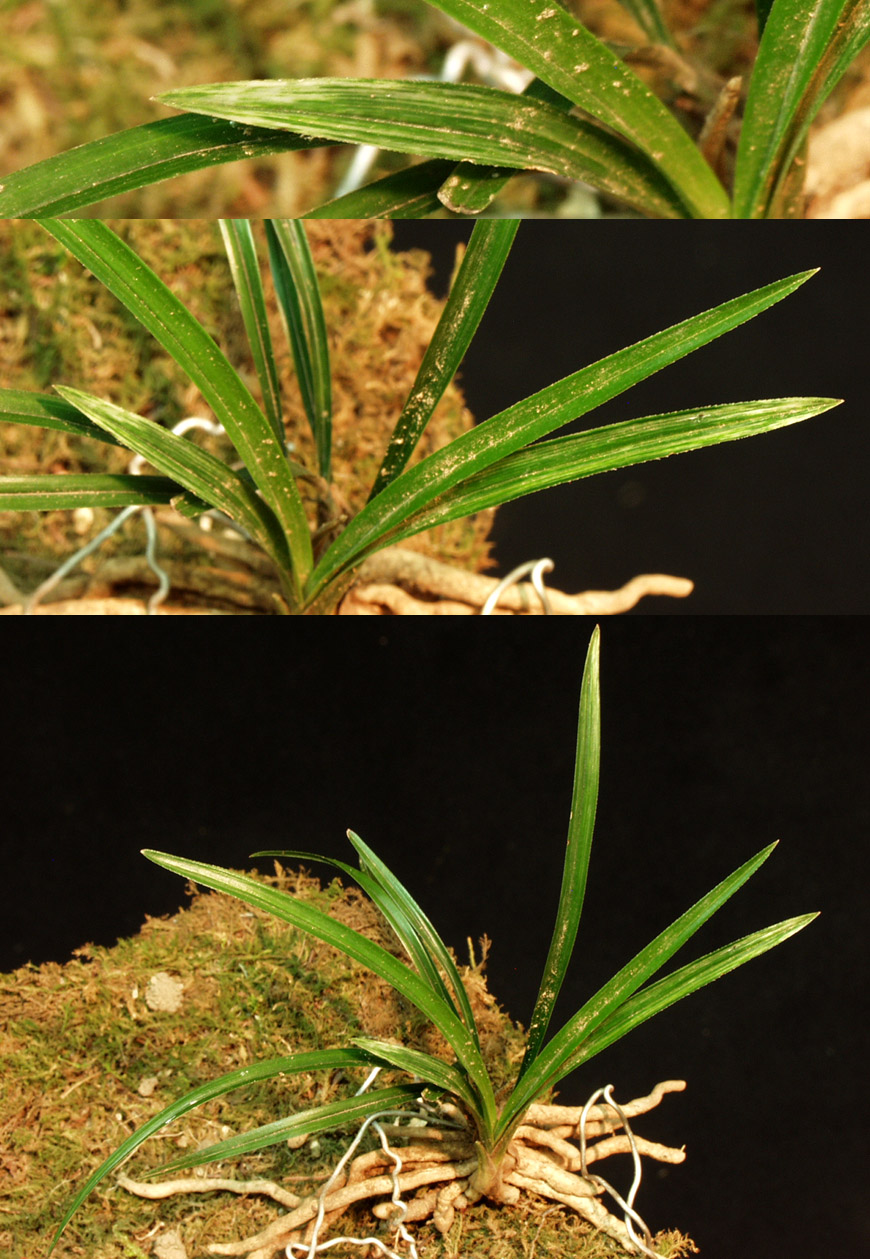 ������ ū������ �� �� �ֽ��ϴ�.