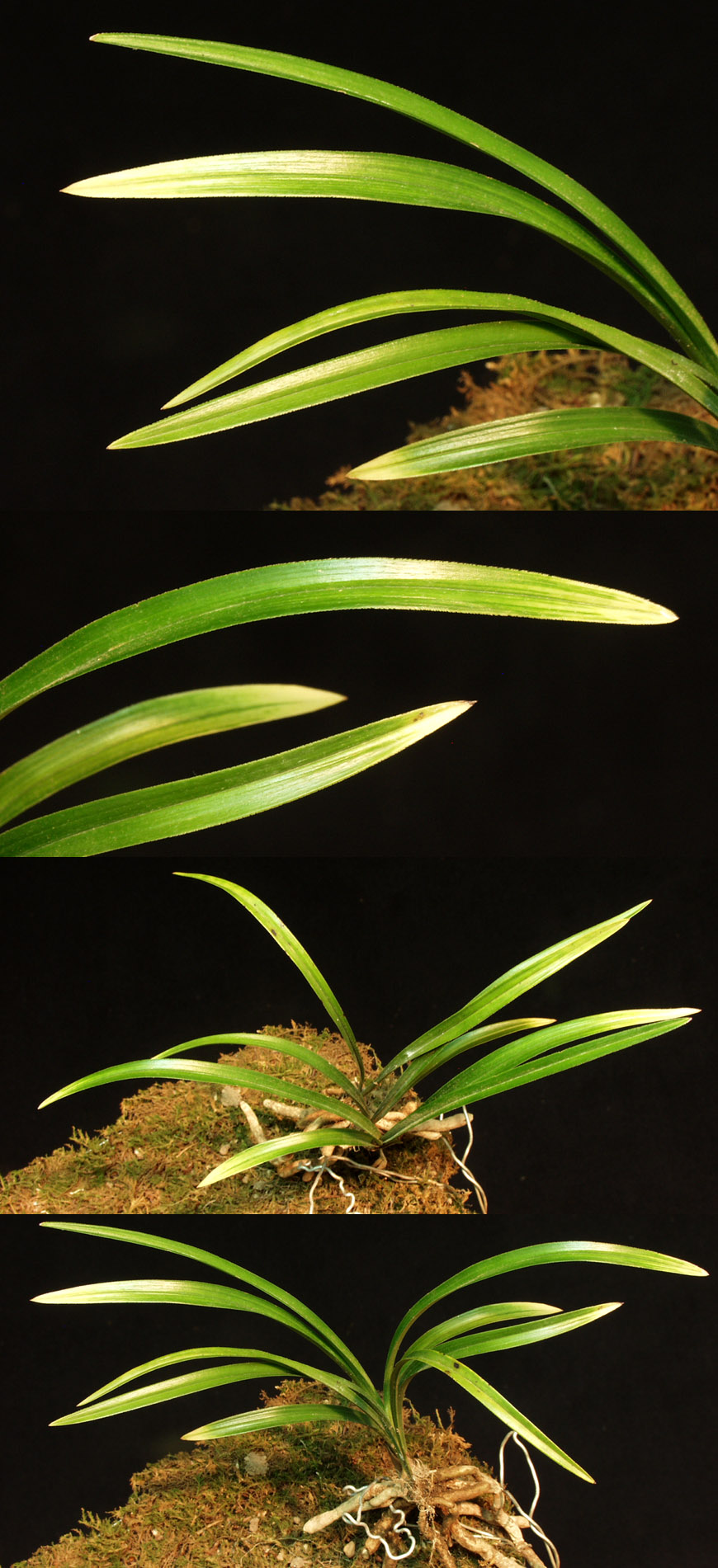 ������ ū������ �� �� �ֽ��ϴ�.