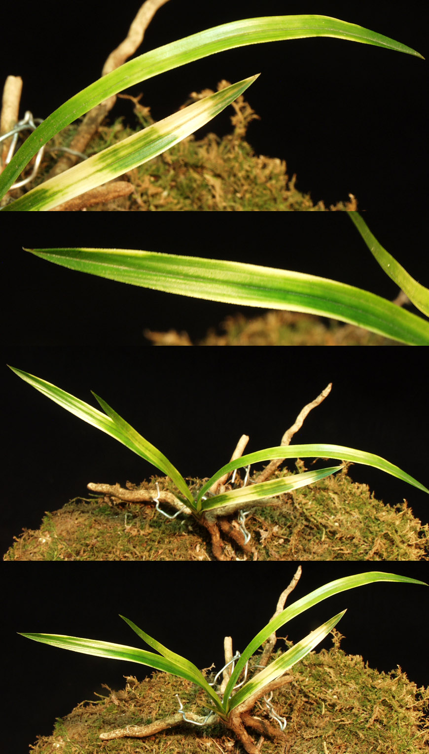 ������ ū������ �� �� �ֽ��ϴ�.