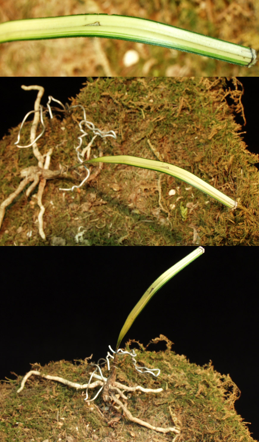 ������ ū������ �� �� �ֽ��ϴ�.