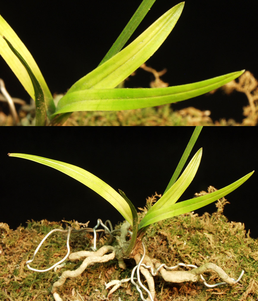 ������ ū������ �� �� �ֽ��ϴ�.