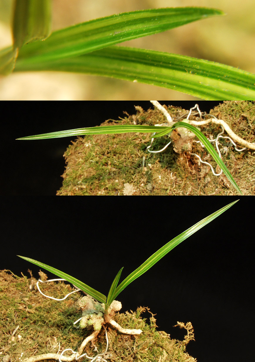 ������ ū������ �� �� �ֽ��ϴ�.