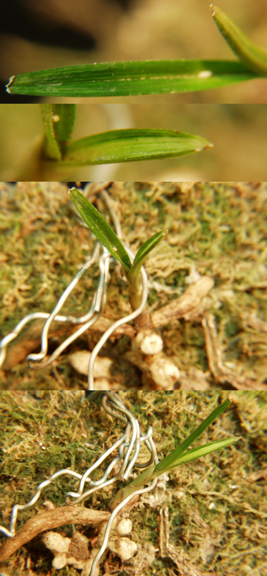 ������ ū������ �� �� �ֽ��ϴ�.