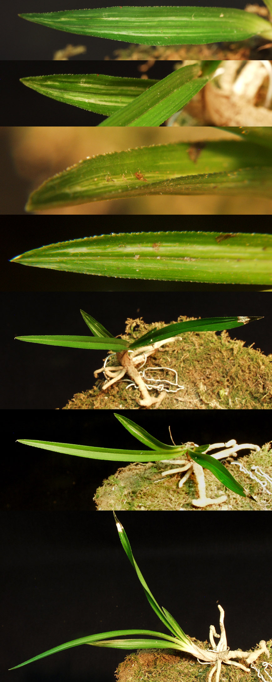 ������ ū������ �� �� �ֽ��ϴ�.