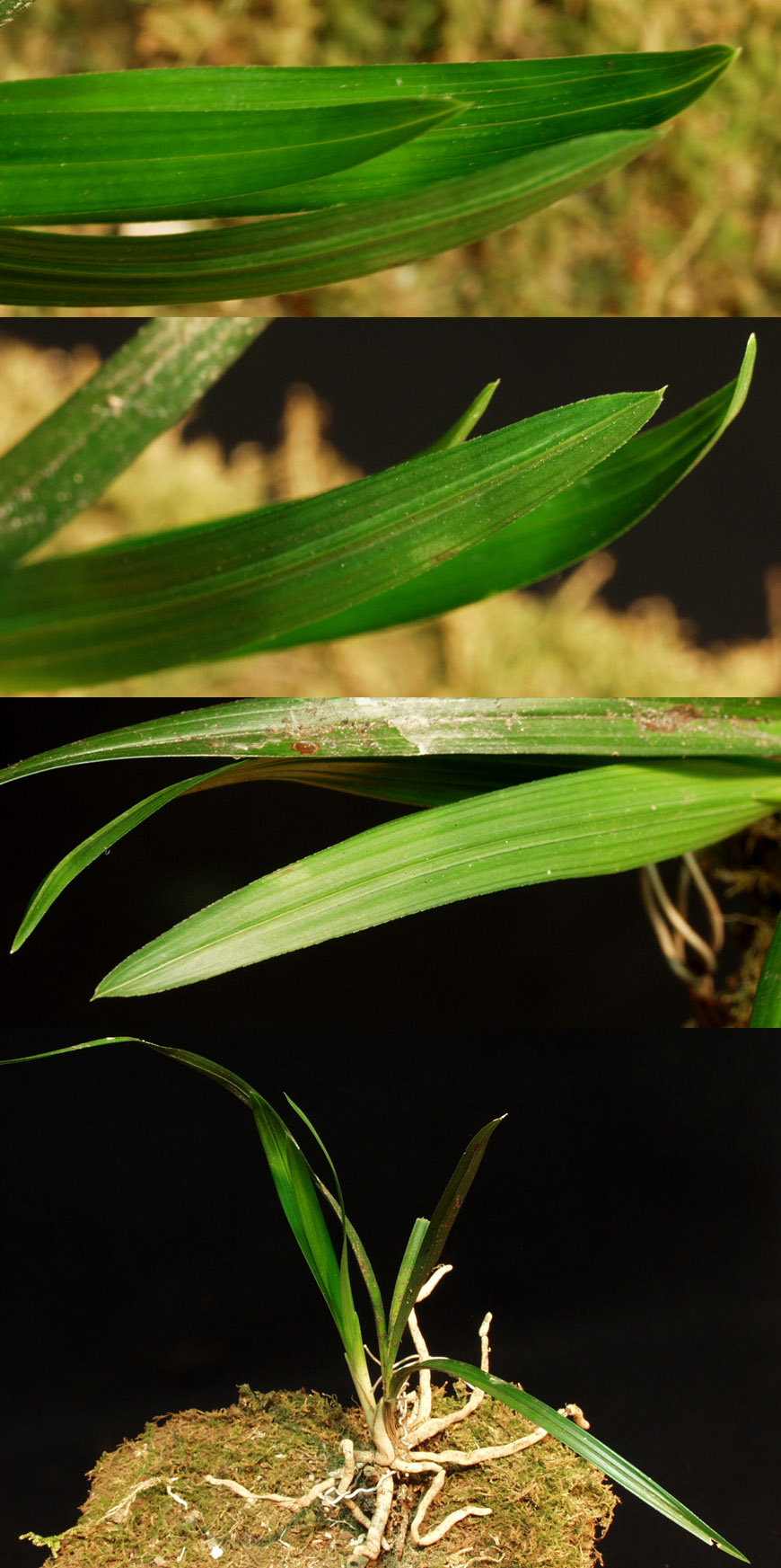 ������ ū������ �� �� �ֽ��ϴ�.