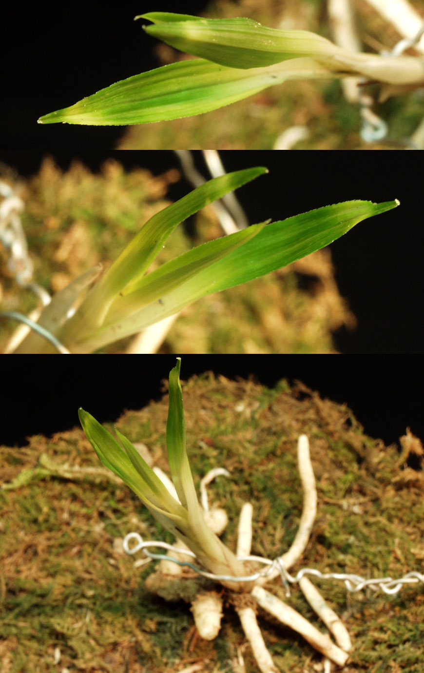 ������ ū������ �� �� �ֽ��ϴ�.