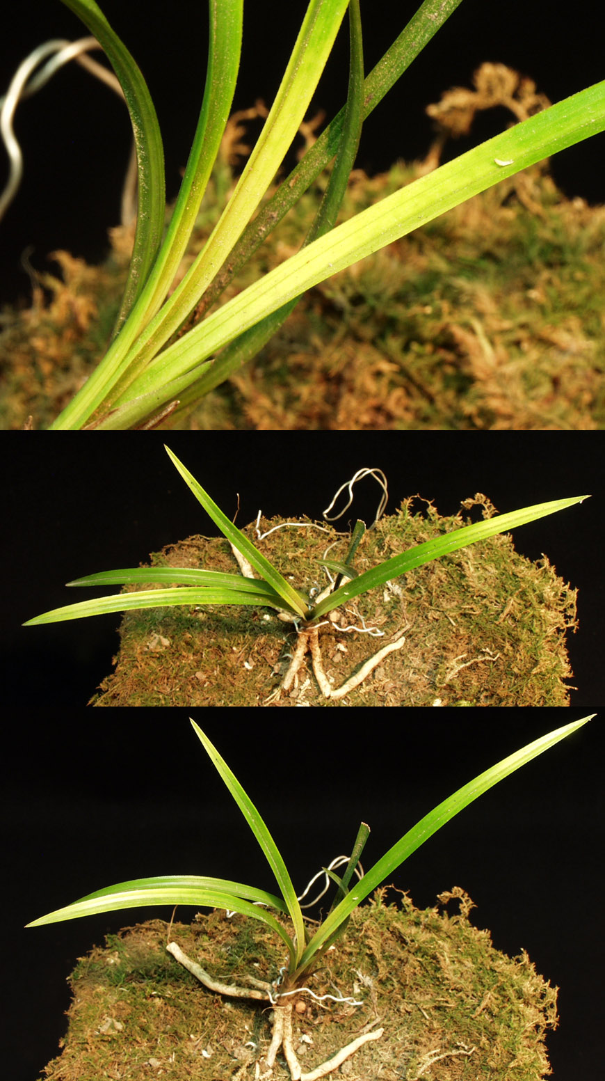 ������ ū������ �� �� �ֽ��ϴ�.