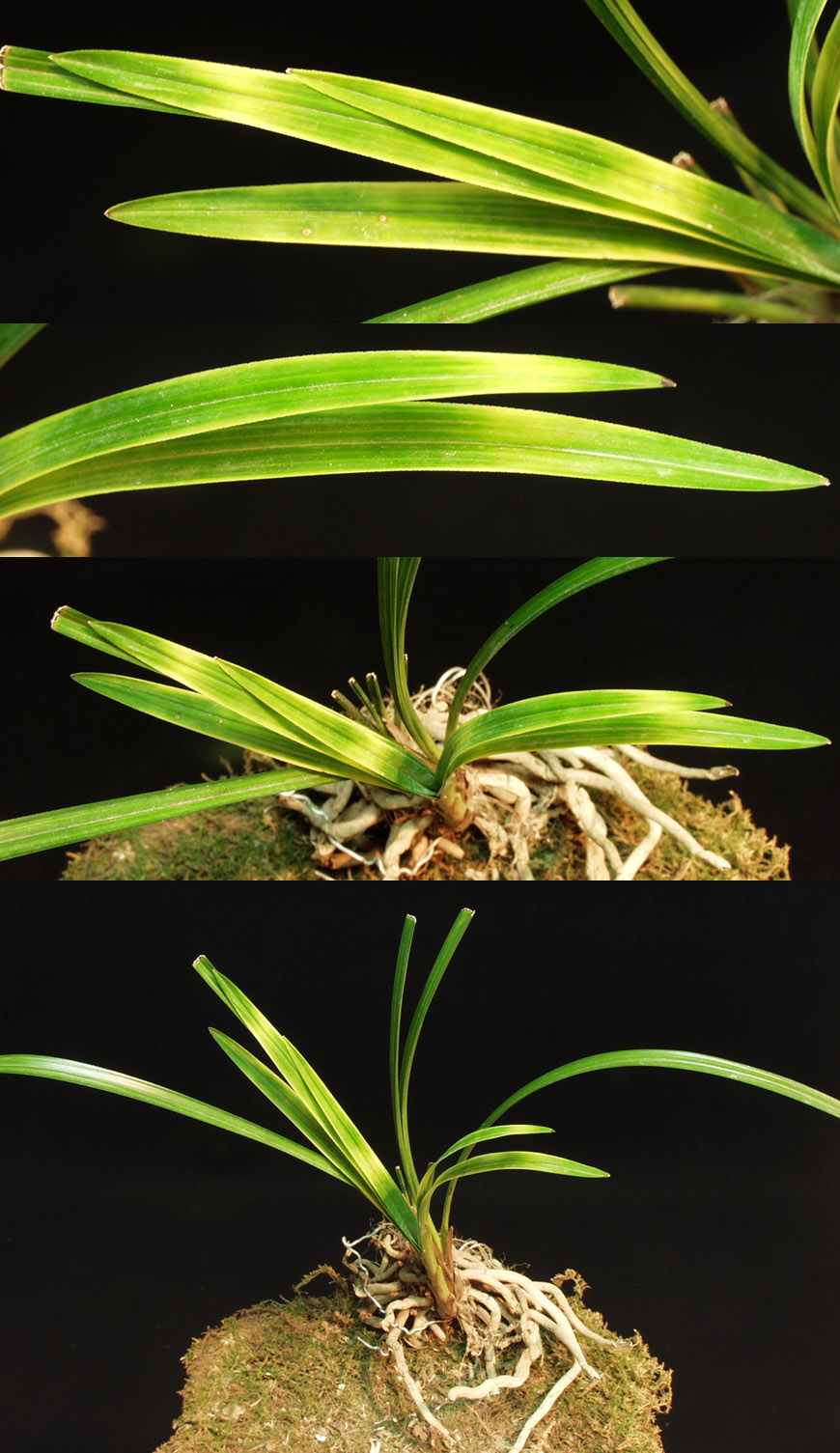 ������ ū������ �� �� �ֽ��ϴ�.