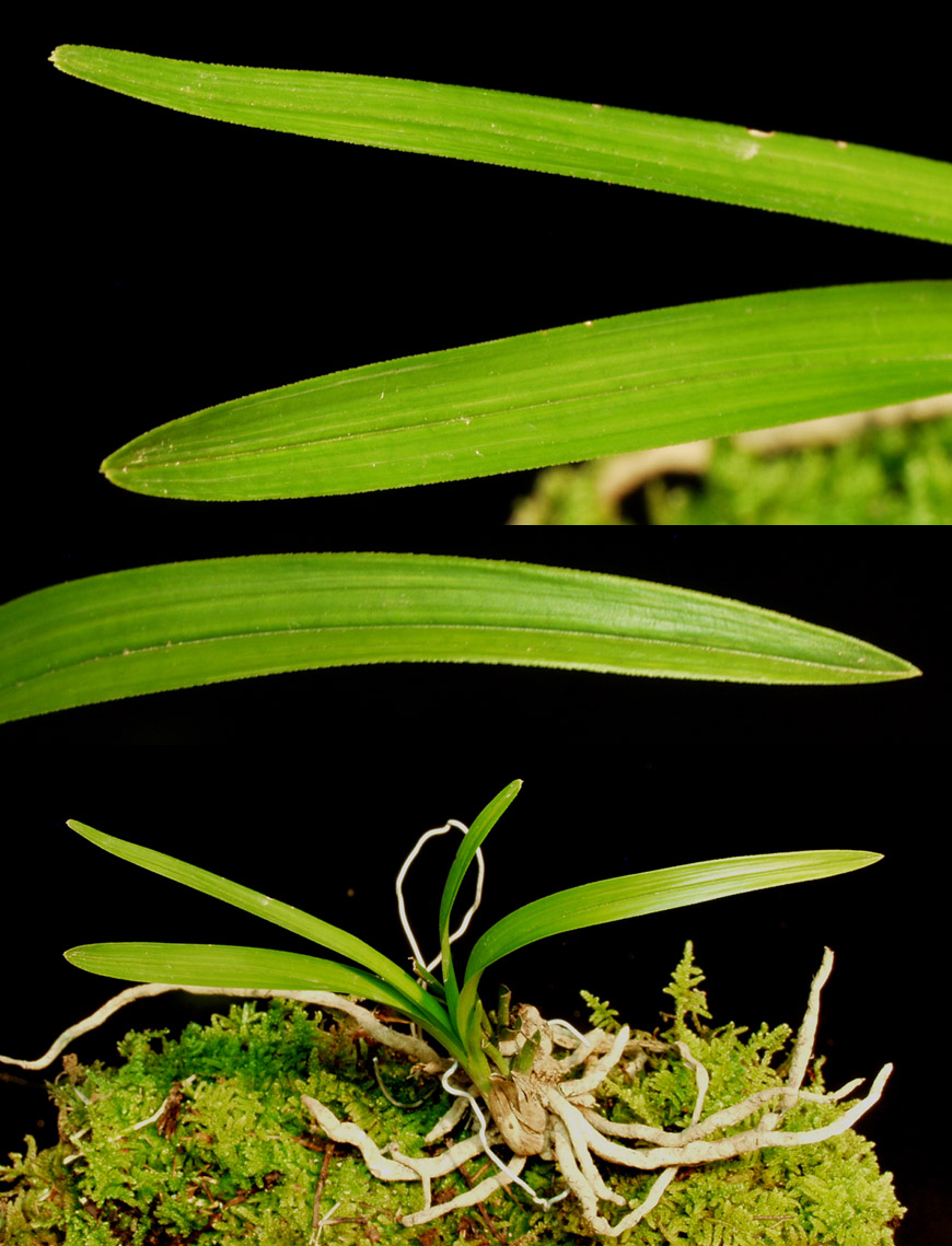 ������ ū������ �� �� �ֽ��ϴ�.