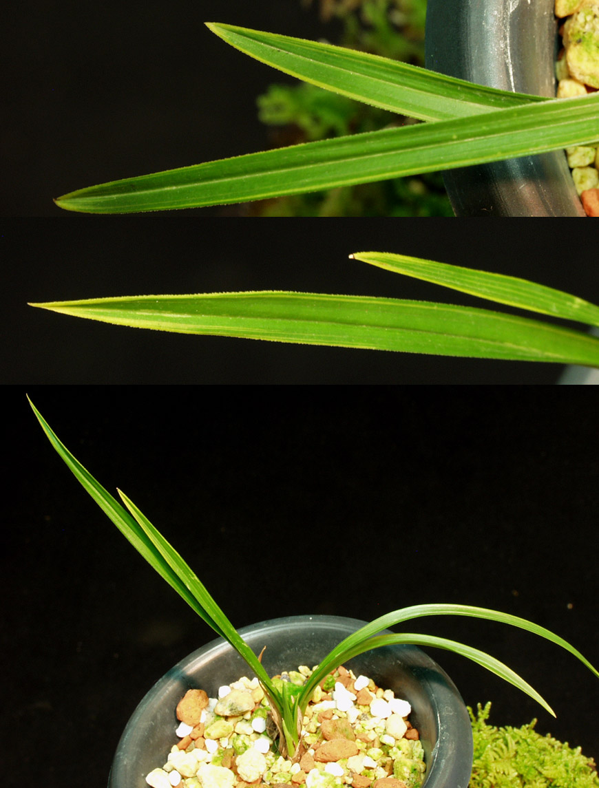 ������ ū������ �� �� �ֽ��ϴ�.