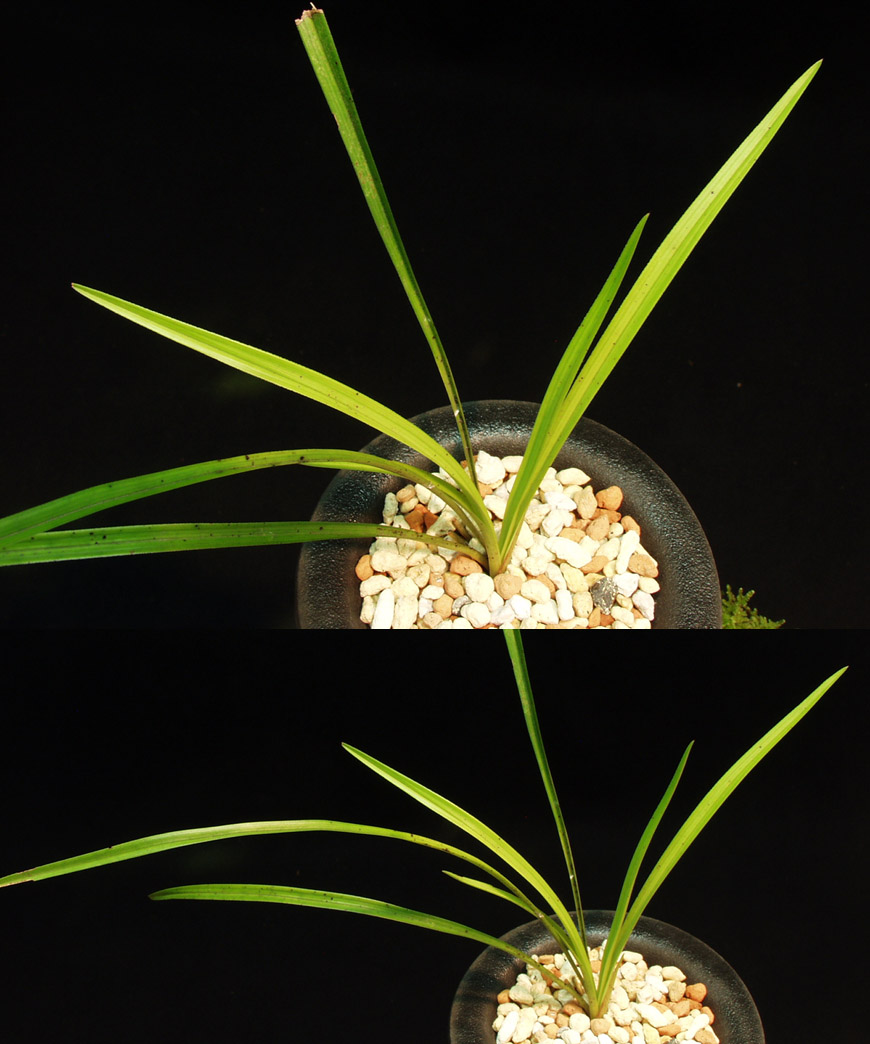 ������ ū������ �� �� �ֽ��ϴ�.