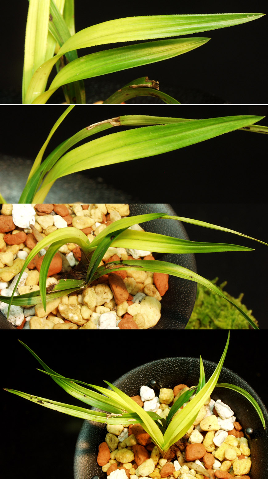 ������ ū������ �� �� �ֽ��ϴ�.