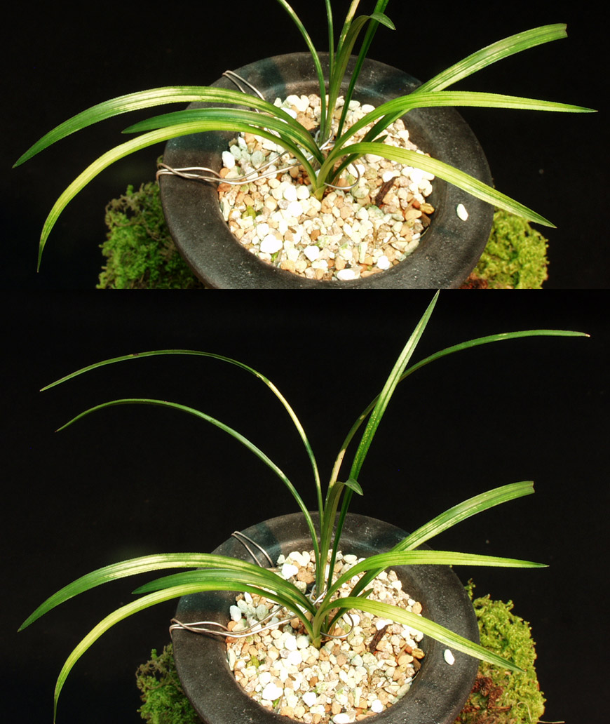 ������ ū������ �� �� �ֽ��ϴ�.