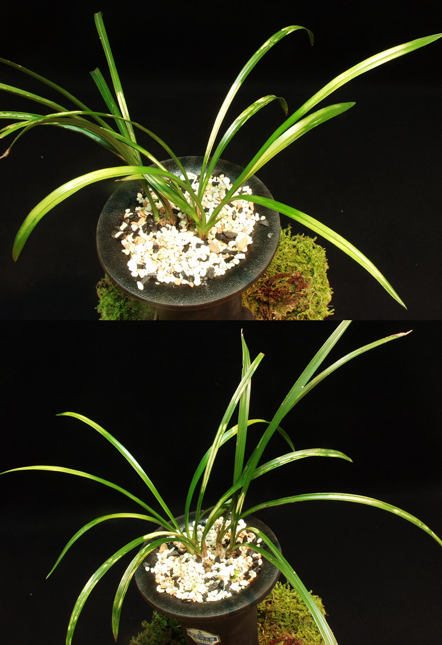 ������ ū������ �� �� �ֽ��ϴ�.