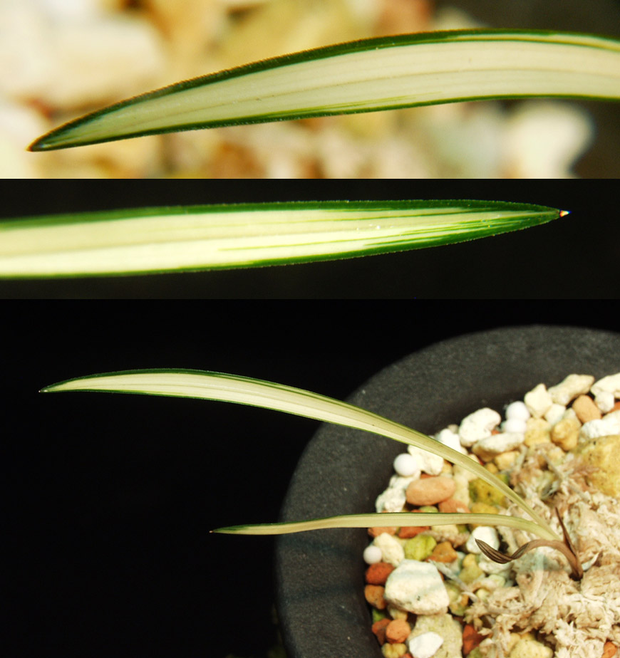 ������ ū������ �� �� �ֽ��ϴ�.