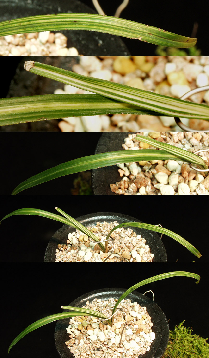 ������ ū������ �� �� �ֽ��ϴ�.