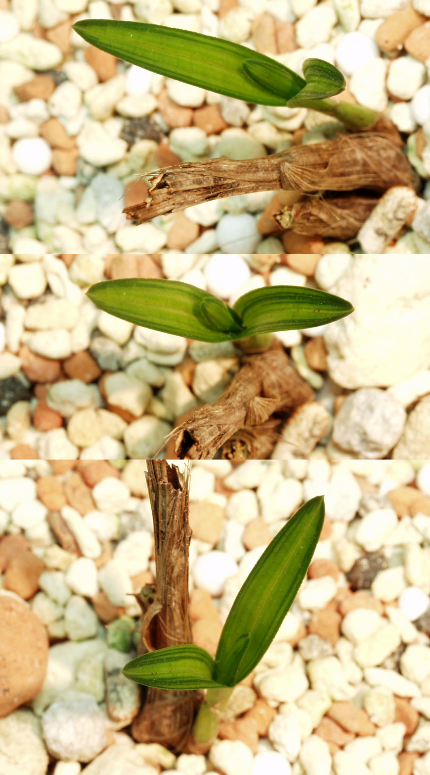 ������ ū������ �� �� �ֽ��ϴ�.