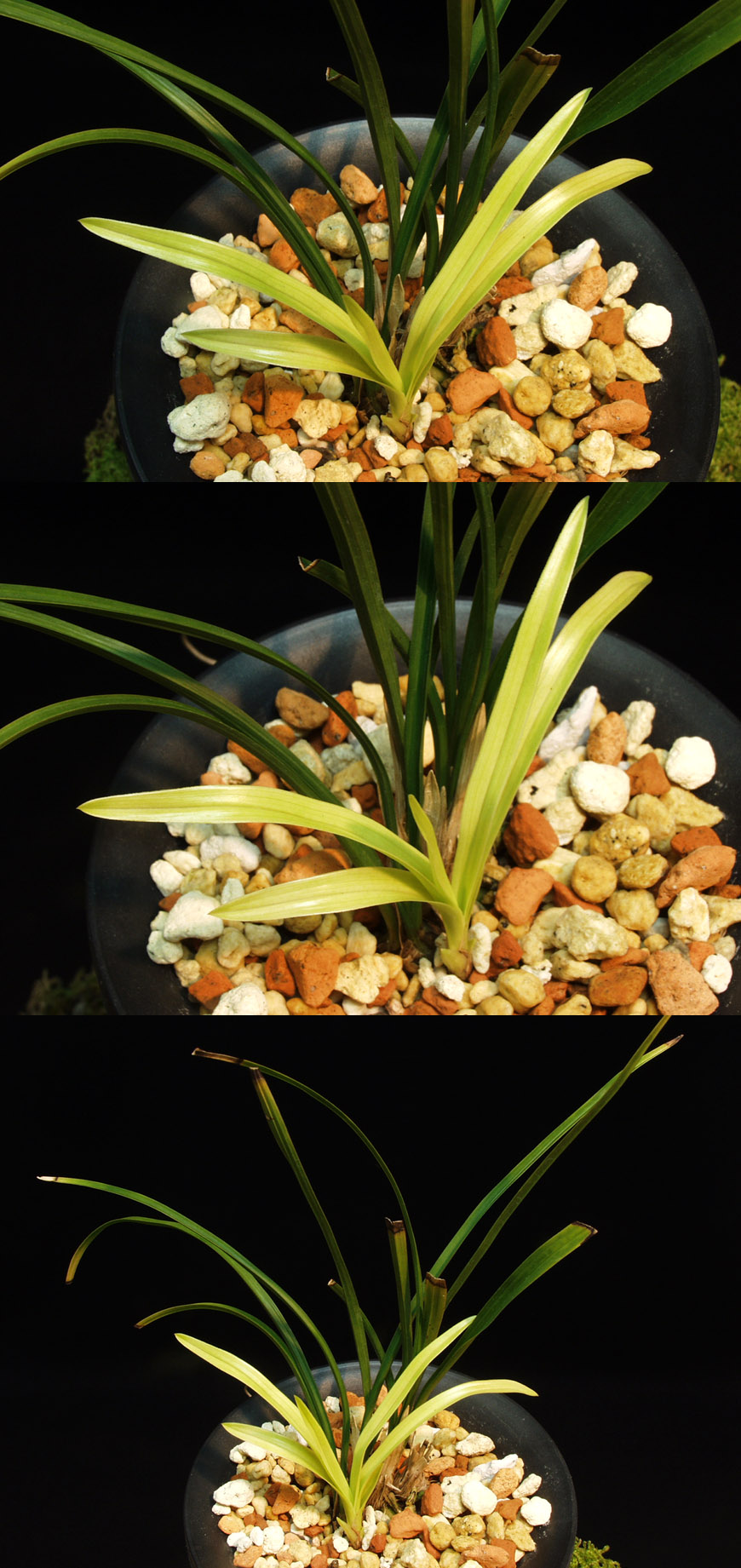 ������ ū������ �� �� �ֽ��ϴ�.