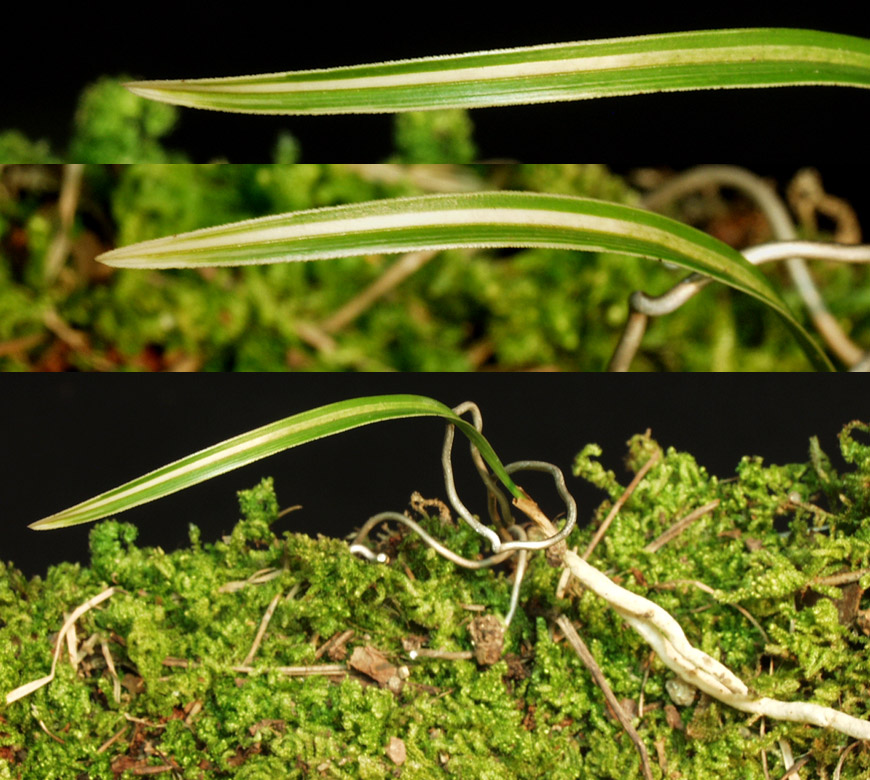 ������ ū������ �� �� �ֽ��ϴ�.