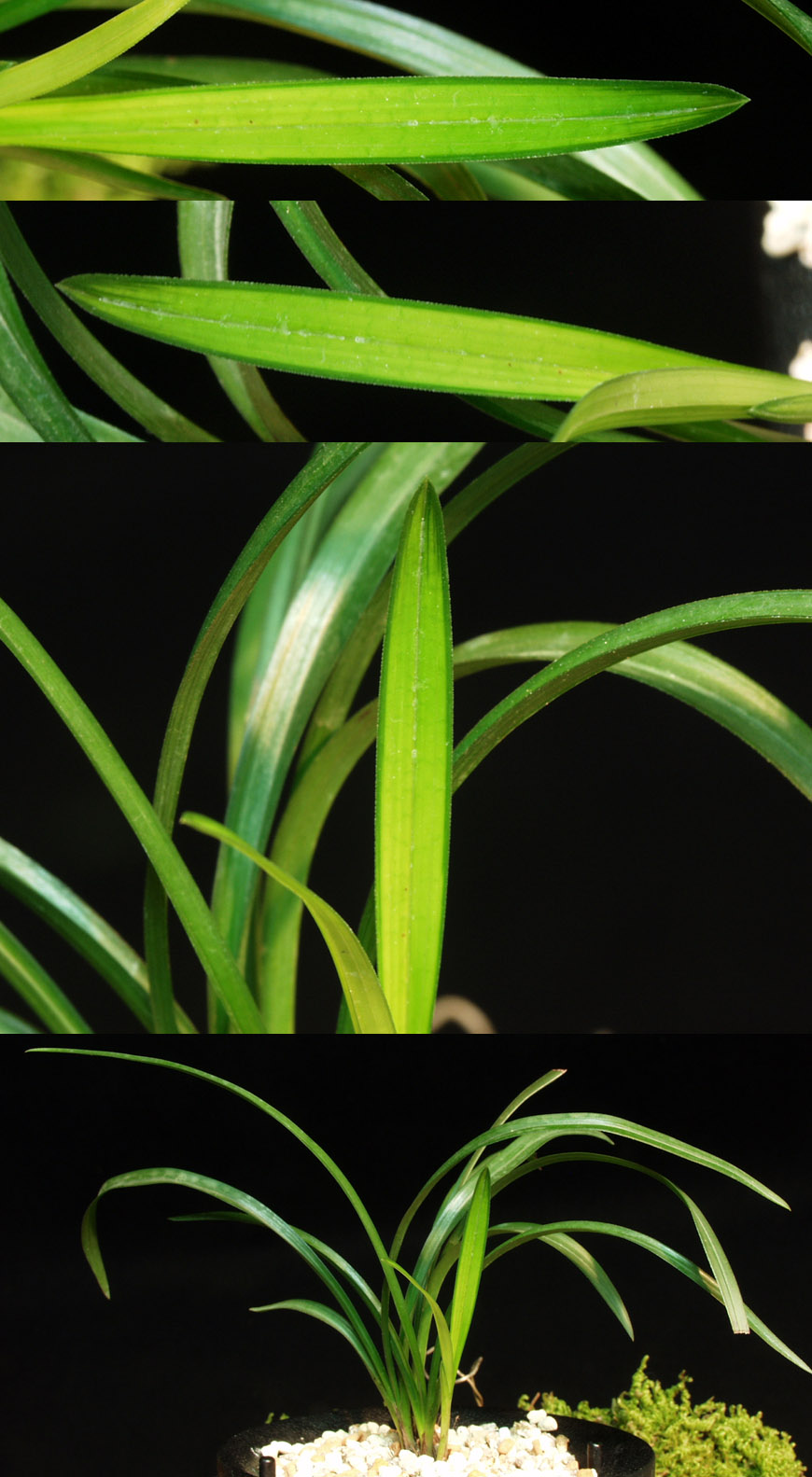 ������ ū������ �� �� �ֽ��ϴ�.