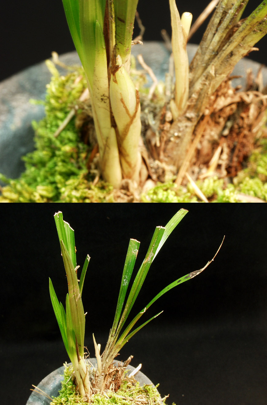 ������ ū������ �� �� �ֽ��ϴ�.