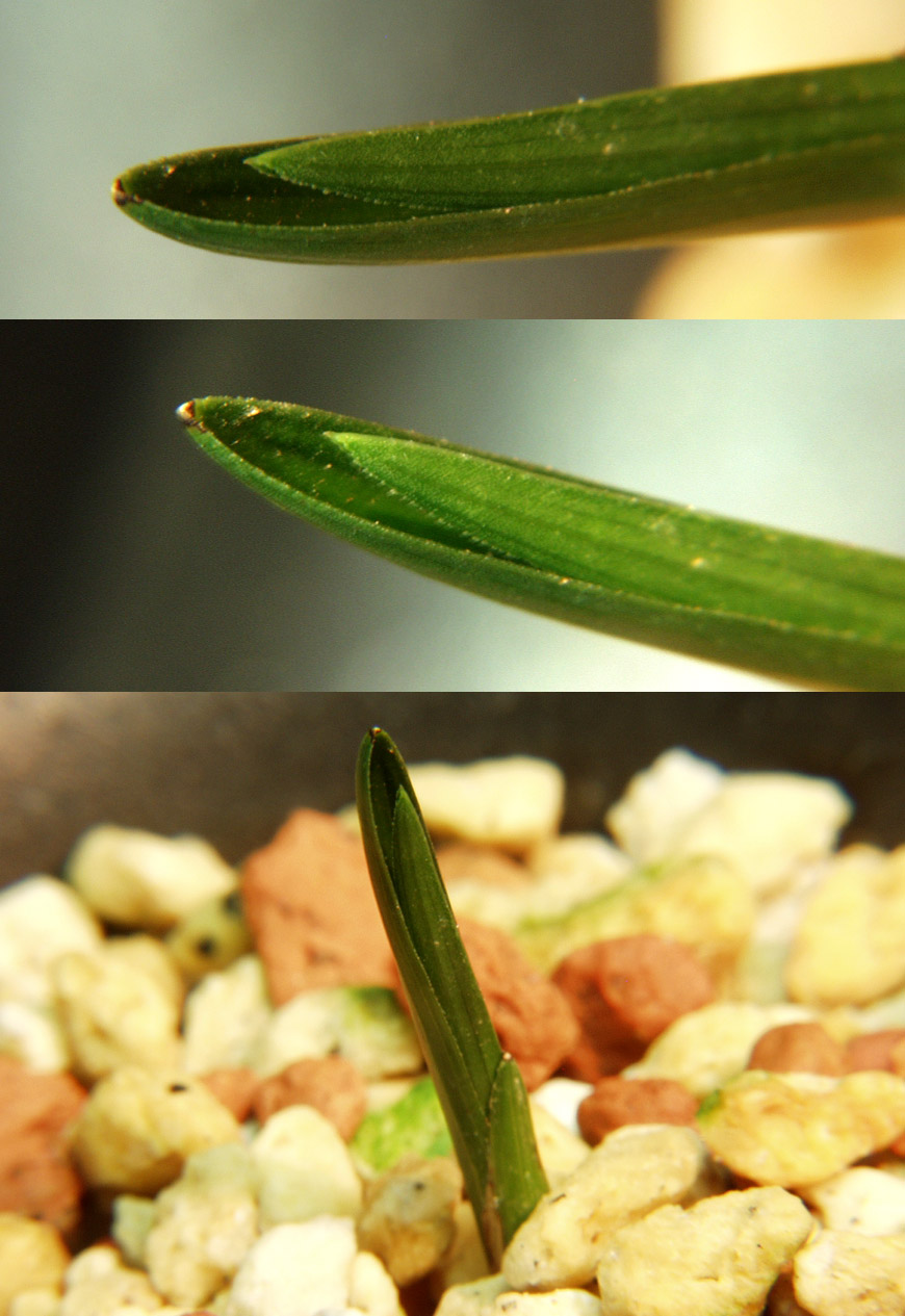 ������ ū������ �� �� �ֽ��ϴ�.