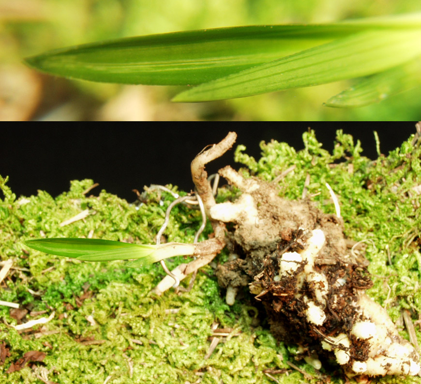 ������ ū������ �� �� �ֽ��ϴ�.