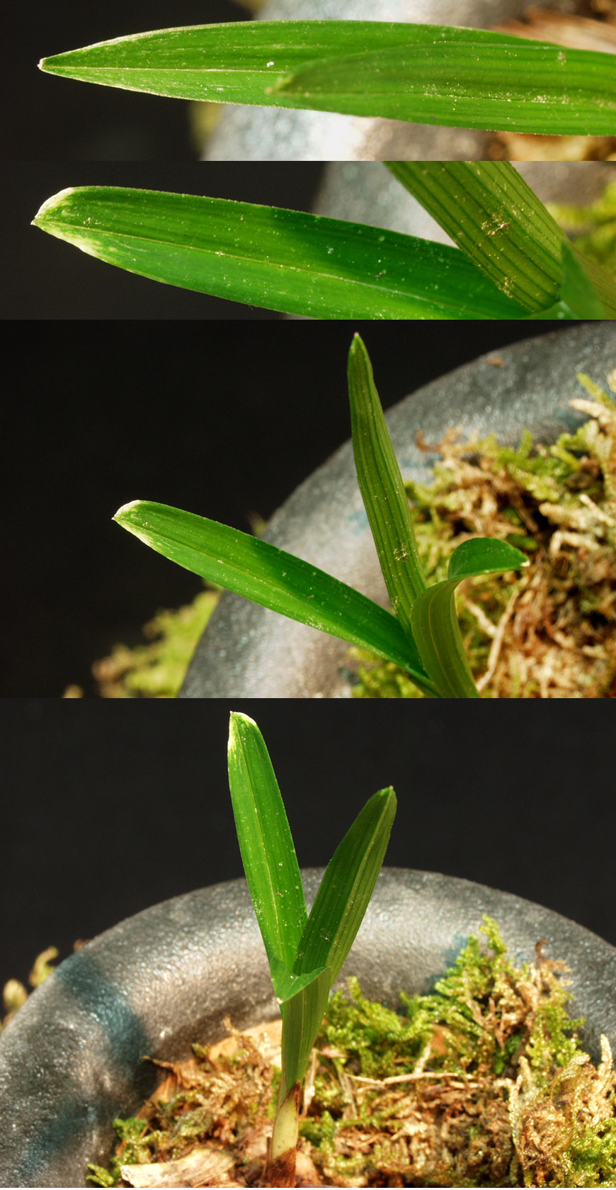 ������ ū������ �� �� �ֽ��ϴ�.