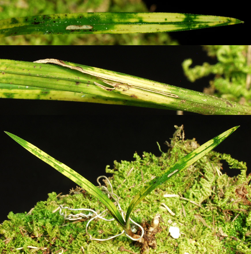 ������ ū������ �� �� �ֽ��ϴ�.