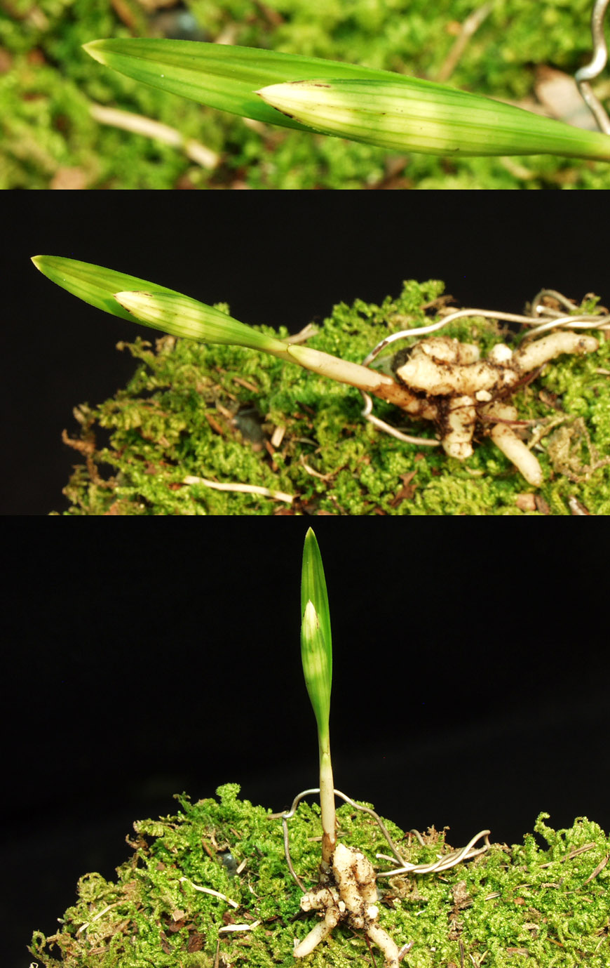 ������ ū������ �� �� �ֽ��ϴ�.