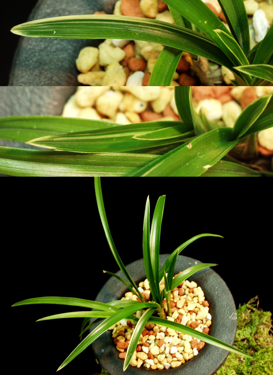 ������ ū������ �� �� �ֽ��ϴ�.