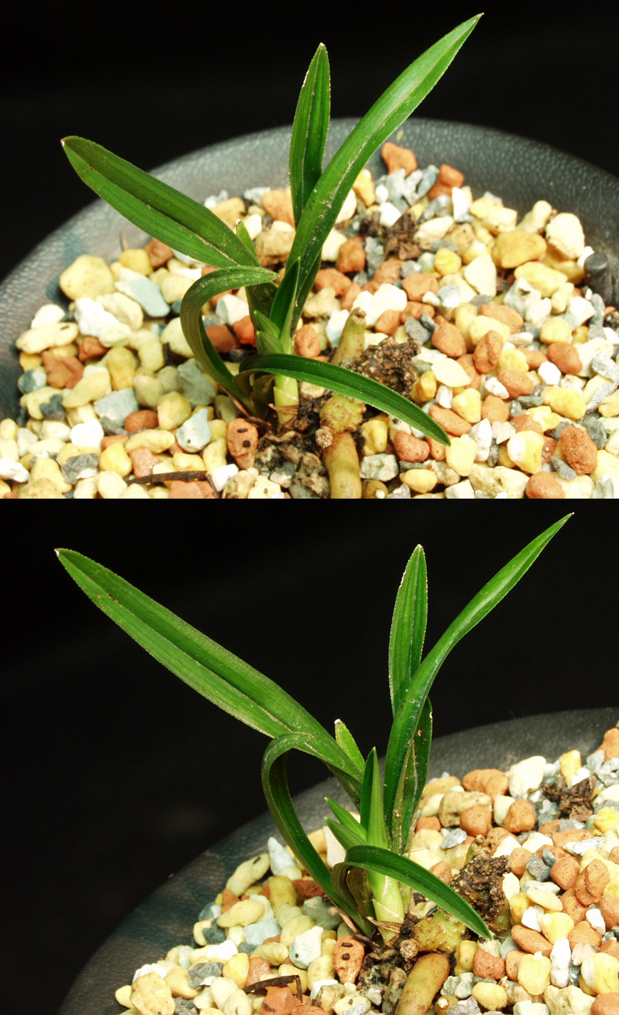 ������ ū������ �� �� �ֽ��ϴ�.