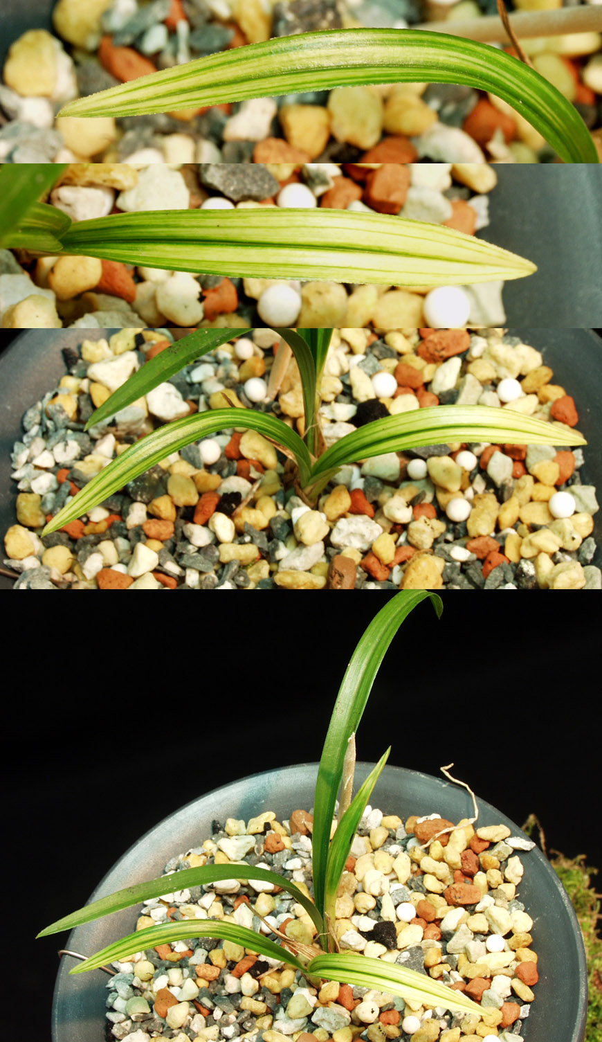 ������ ū������ �� �� �ֽ��ϴ�.