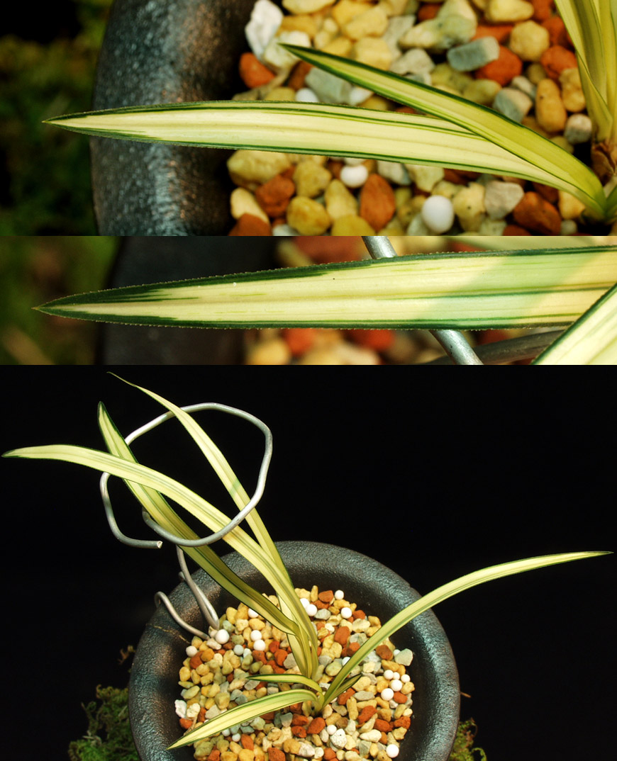 ������ ū������ �� �� �ֽ��ϴ�.