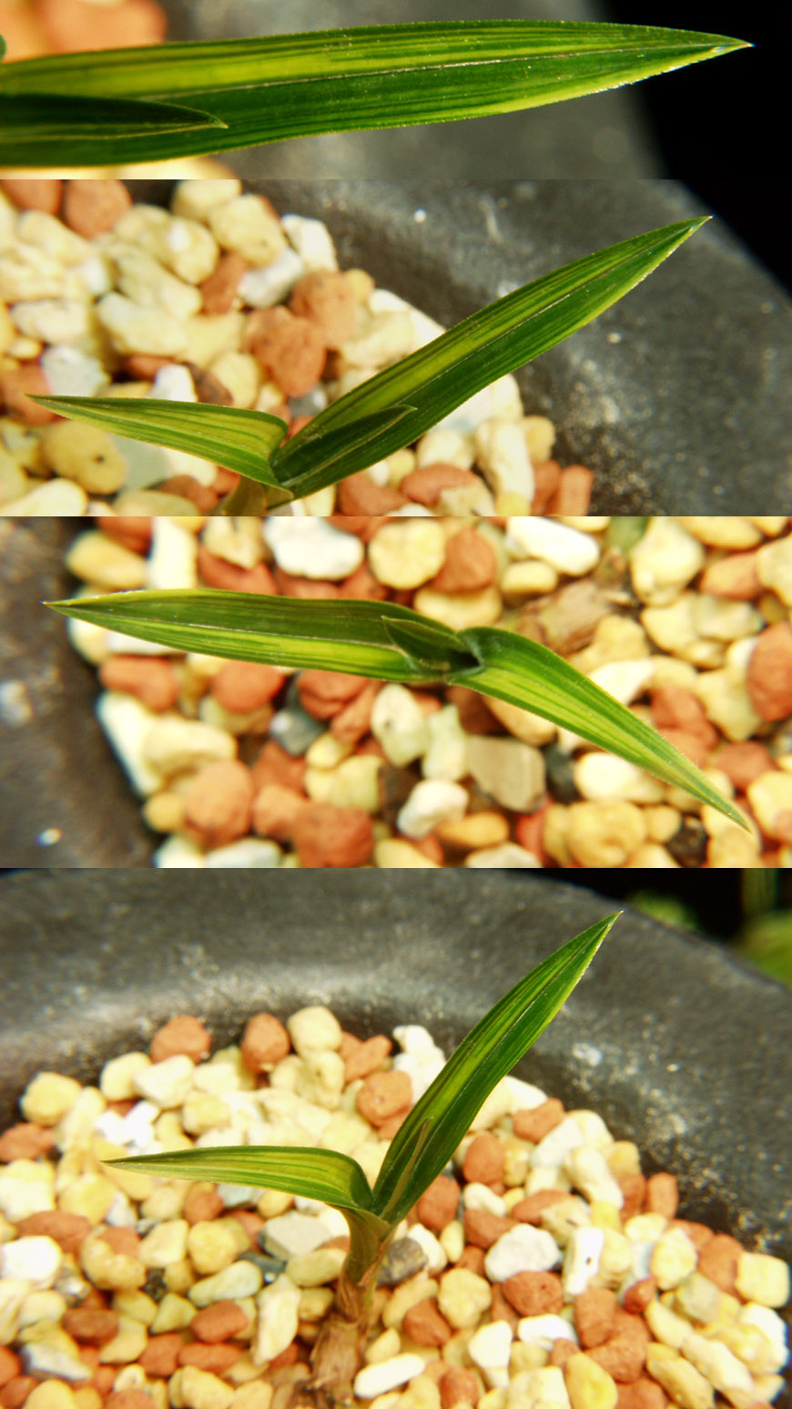 ������ ū������ �� �� �ֽ��ϴ�.