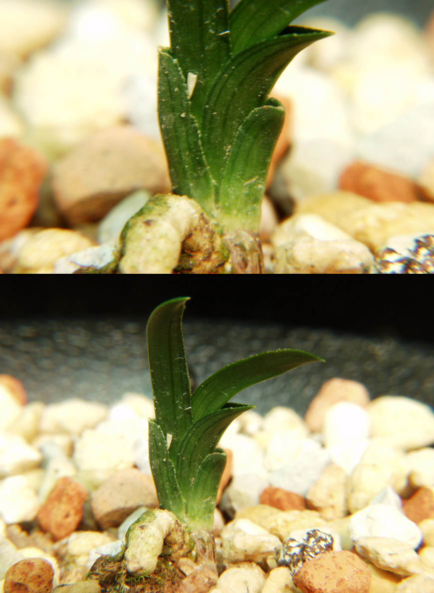 ������ ū������ �� �� �ֽ��ϴ�.