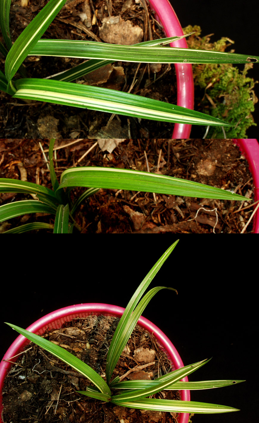 ������ ū������ �� �� �ֽ��ϴ�.