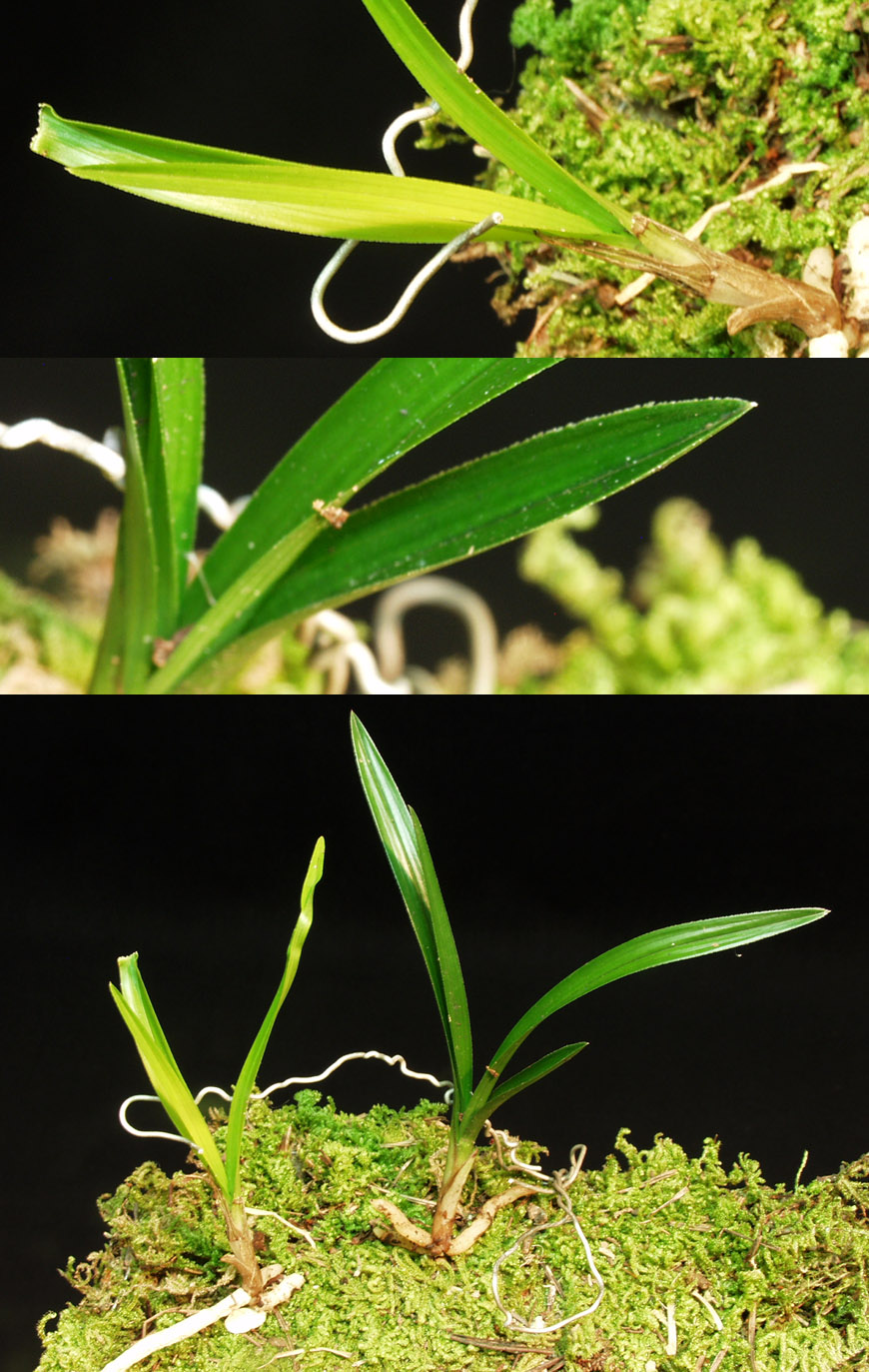 ������ ū������ �� �� �ֽ��ϴ�.